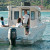Atlantic_Marine-Adventure_660_e8