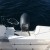 Atlantic_Marine-Adventure_660_x10